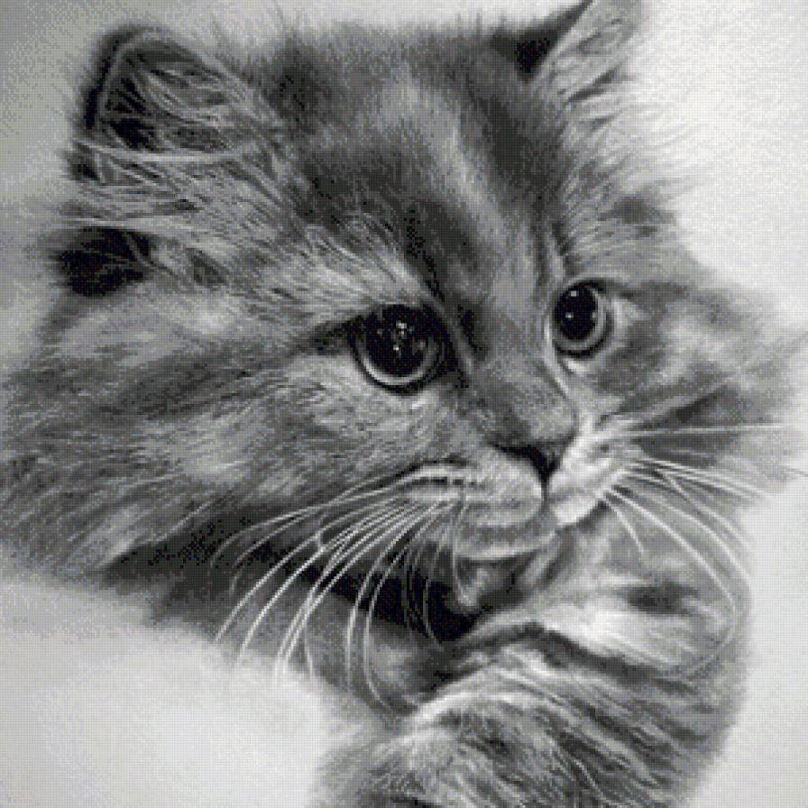 №1102471 - предпросмотр