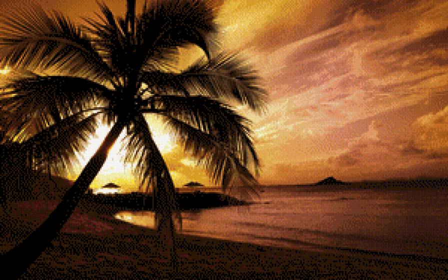 Закат - пляж, пальма, закат - предпросмотр