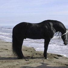 Схема вышивки «Лошадь и море.»