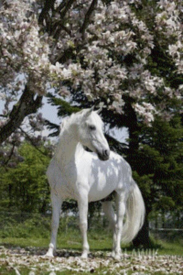 Лошадь - лошадь, весна, жеребец, цветы - предпросмотр