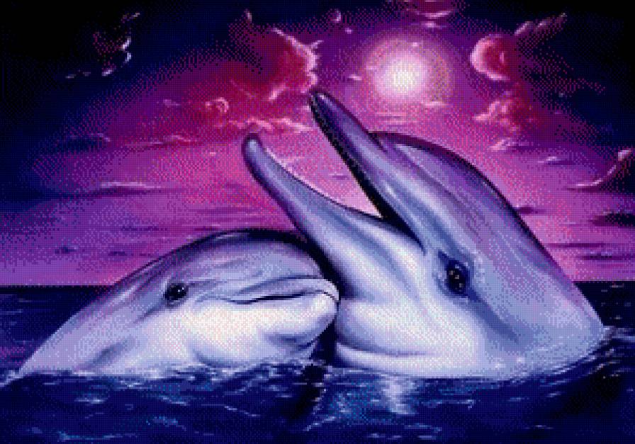 Delfines amigos - предпросмотр