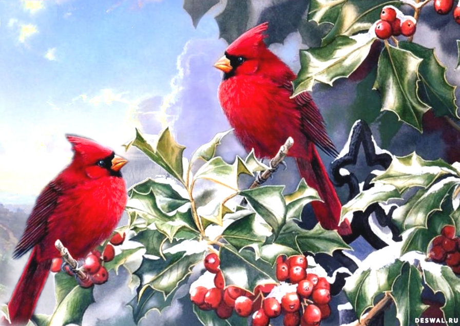 Птички 3 - оригинал