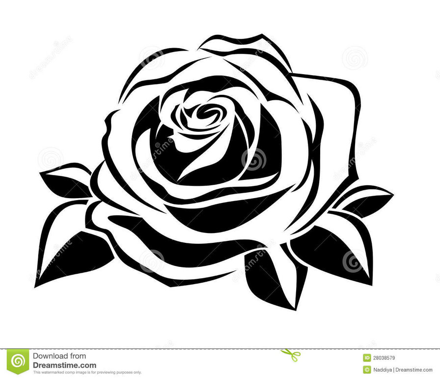 Розочка - цветы, монохром, розы - оригинал