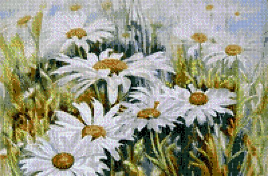 Ромашки - цветы - предпросмотр