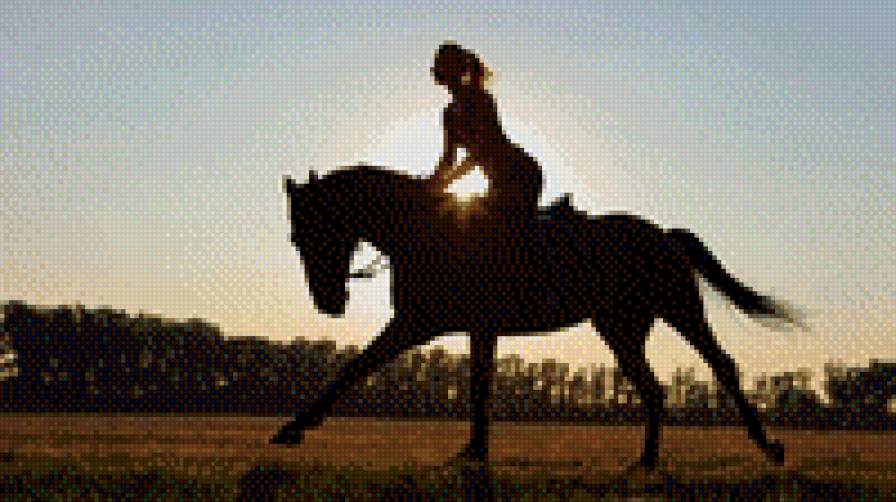 Всадница - всадница, лошадь - предпросмотр