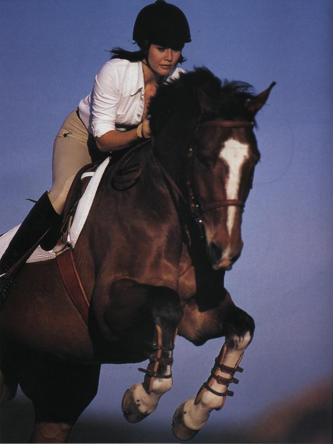 конкур2 - лошадь, всадник, конкур, конный спорт - оригинал