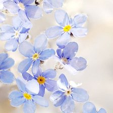 Схема вышивки «flower»