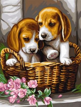 милые малыши - бигль, корзина, собака, щенок, домашние животные, розовые цветы - оригинал