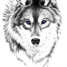 Оригинал схемы вышивки «волк» (№1104328)