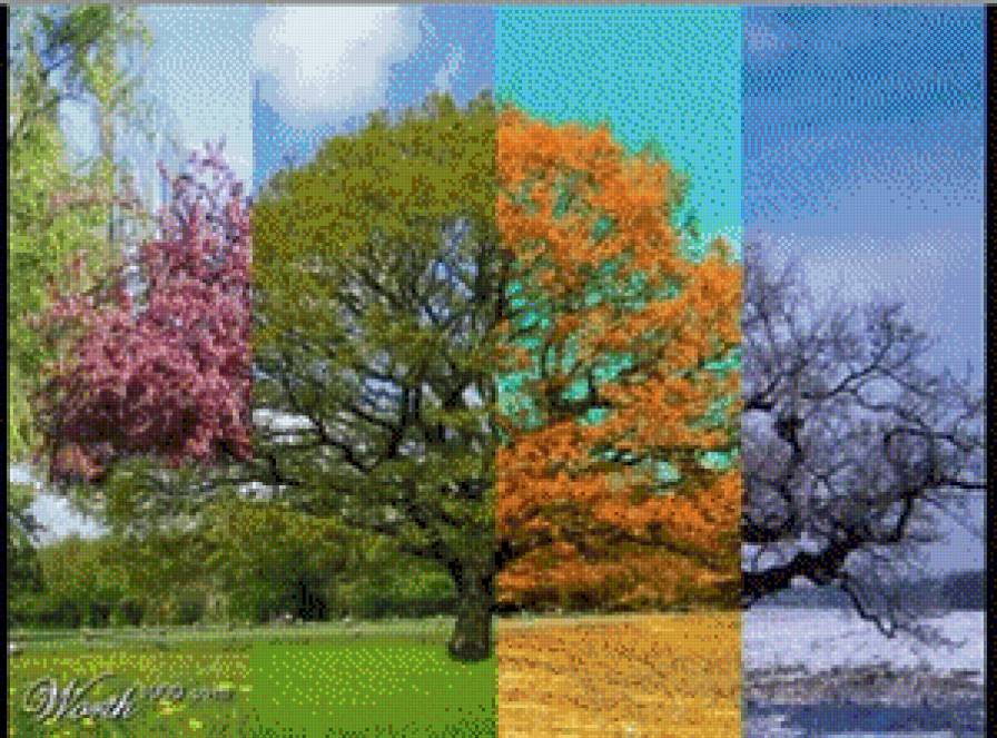 №1104430 - предпросмотр