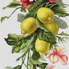 Схема вышивки «№1104584»