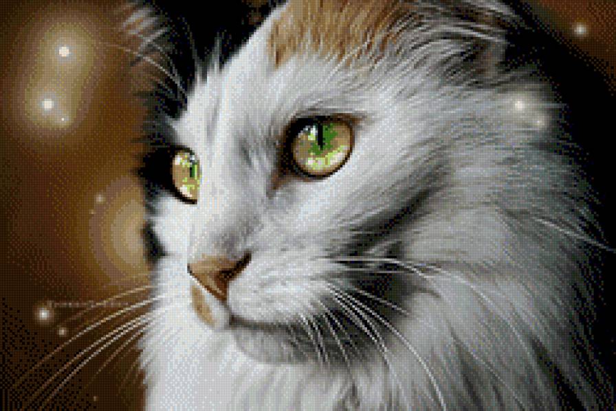 котяра - животное - предпросмотр