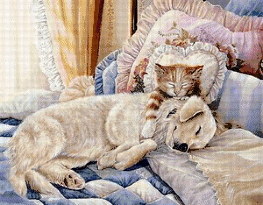 сладких снов - кошечка, собачка, животное - предпросмотр