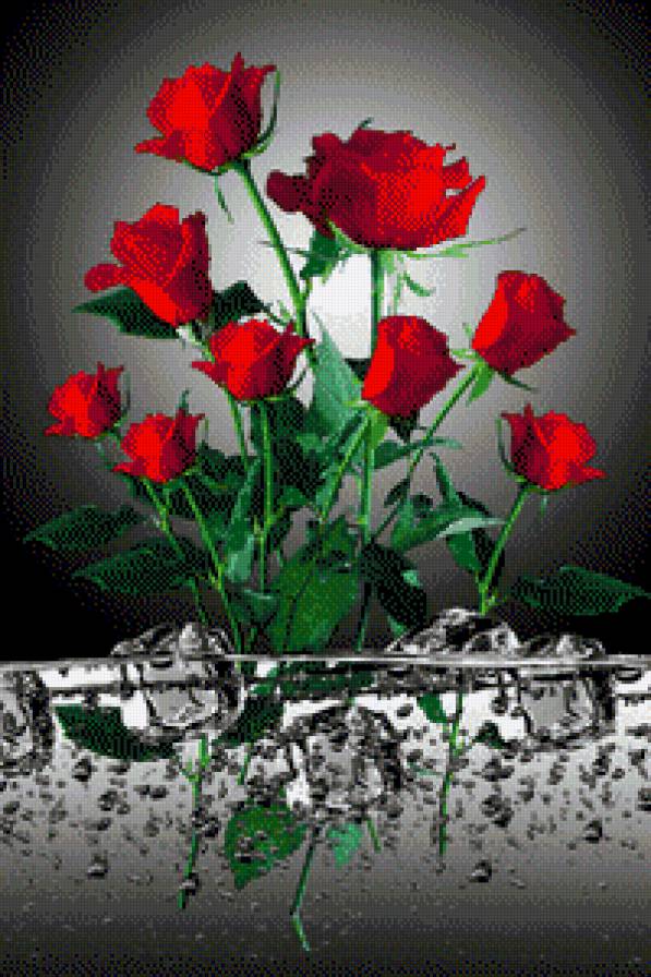 розы - лед, цветы - предпросмотр