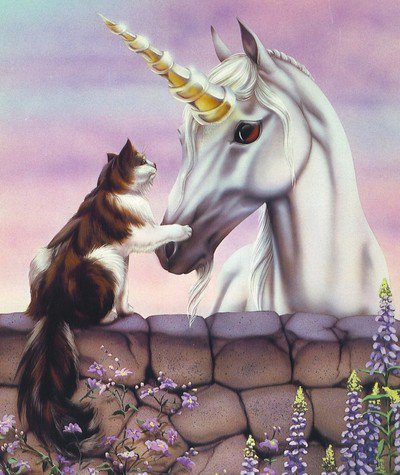 милые друзья - кошка, единорог - оригинал