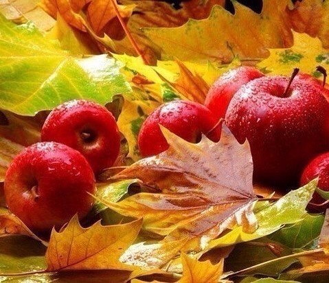 №1105318 - оригинал