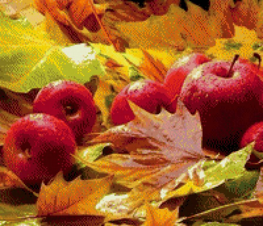 №1105318 - предпросмотр