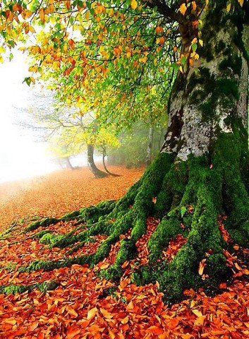 автор Воробьёва Н.В - оригинал