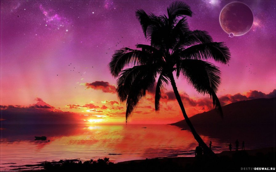 пальма - оригинал