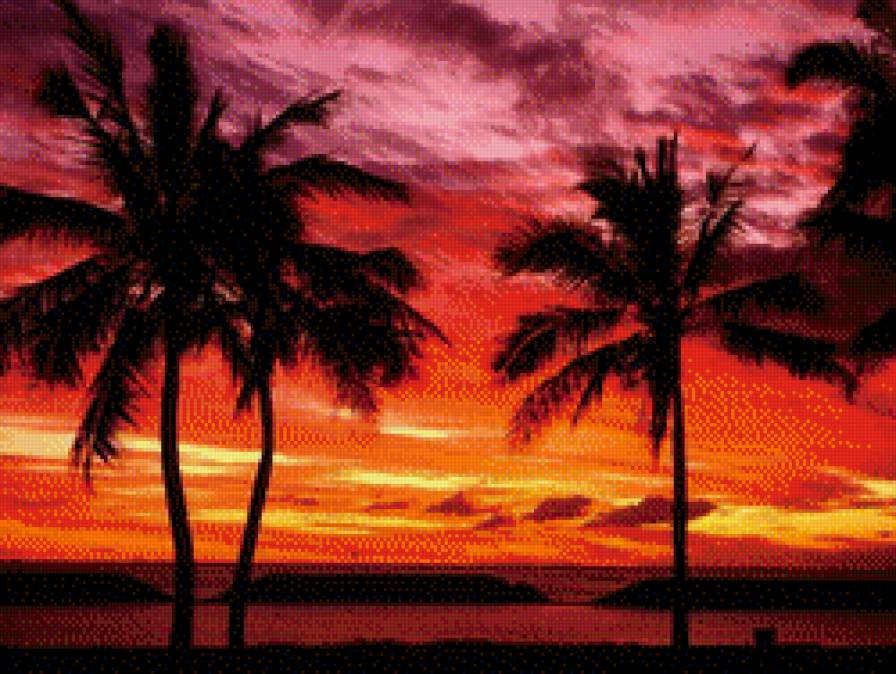 пальма - предпросмотр