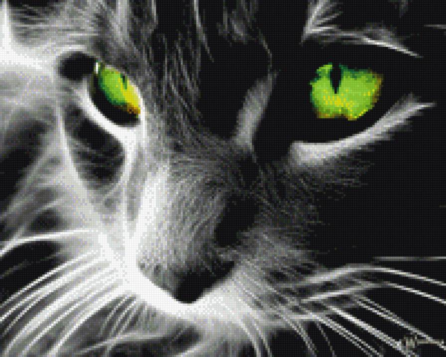 кошка - предпросмотр