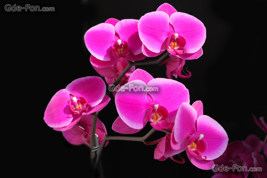 №1105670 - оригинал