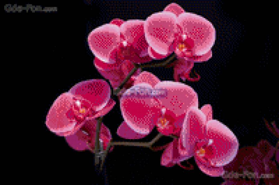 №1105670 - предпросмотр