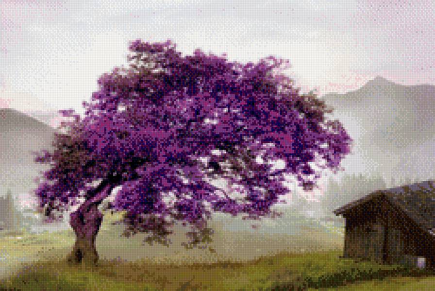 Последняя картина - куда приводят мечты - предпросмотр