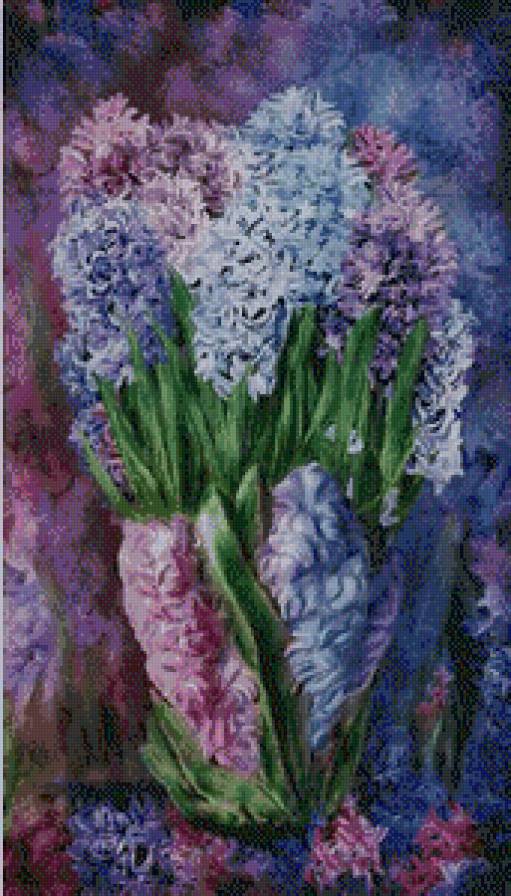 гиацинты - цветы, гиацинты - предпросмотр