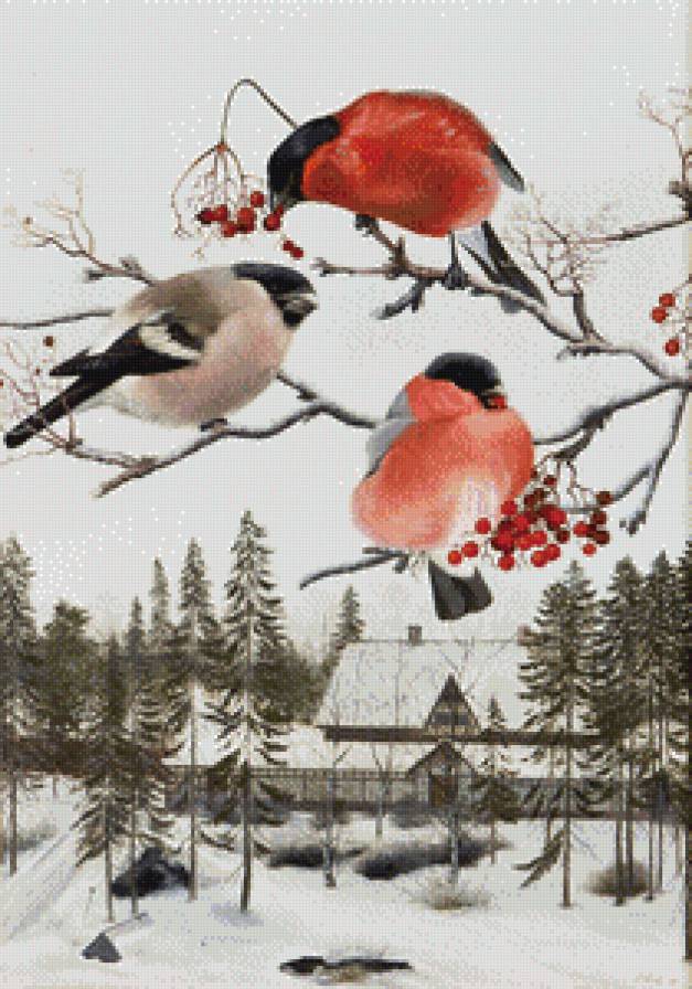 снегири - ветка, птицы - предпросмотр