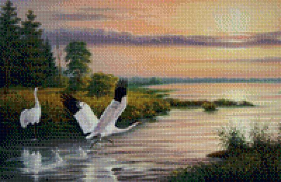 пейзаж - озеро, пейзаж, природа, журавли, закат, птицы - предпросмотр