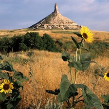Схема вышивки «Пейзаж, гора»