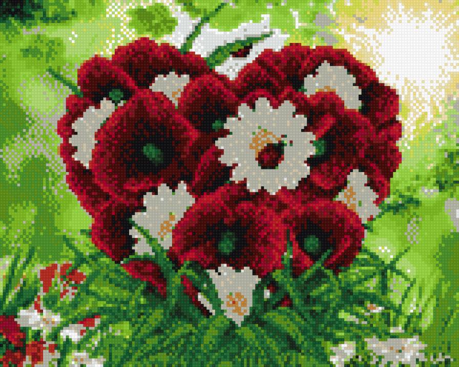 ромашки и маки - предпросмотр