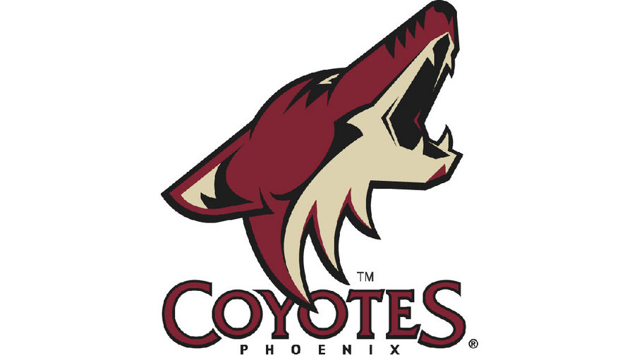 финик - нхл хоккей эмблема - оригинал