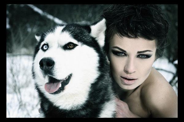 девушка - волк, хаски, девушка, зима, собака - оригинал
