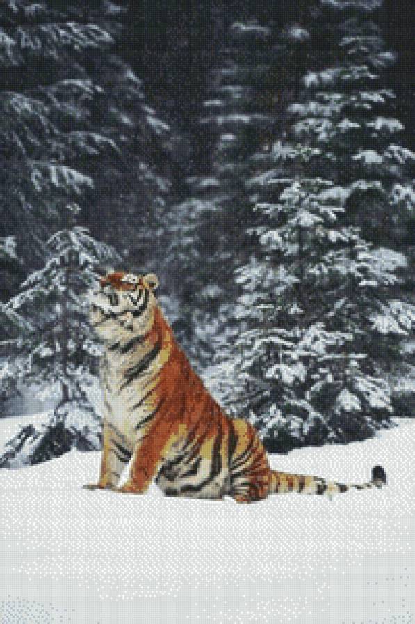 №1106551 - тигр - предпросмотр