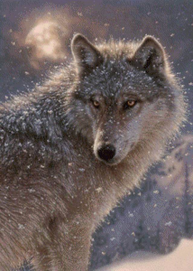 №1106568 - волк - предпросмотр