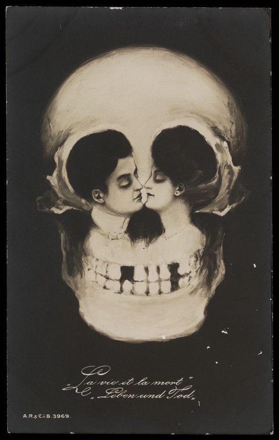 Череп иллюзия - иллюзия, череп, 20 цветов - оригинал