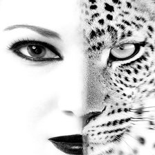 Схема вышивки «woman tiger»