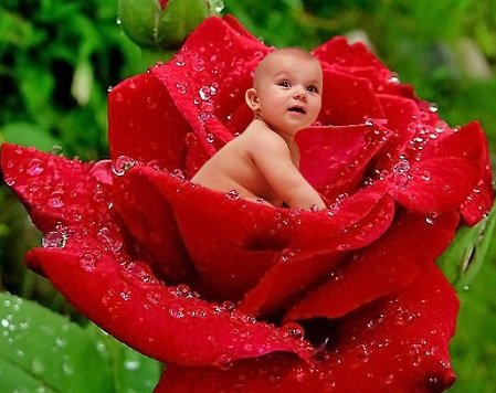 дитя - оригинал