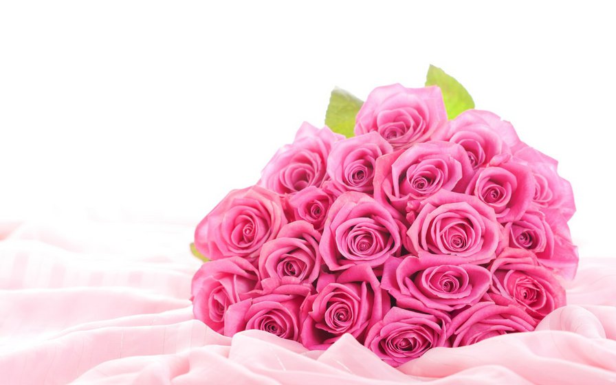розы - розовые розы, розы, букет роз, цветы, красивые цветы - оригинал