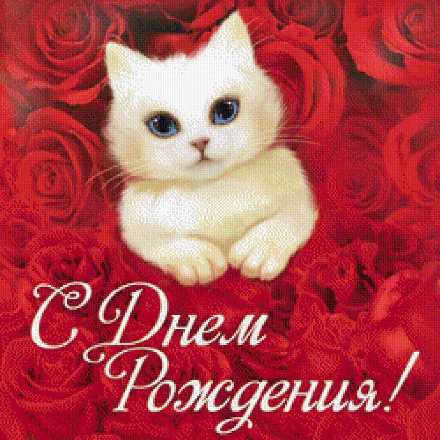 №1107412 - животные, глаза, поздравление, кошка, с днем рождения, розы - предпросмотр