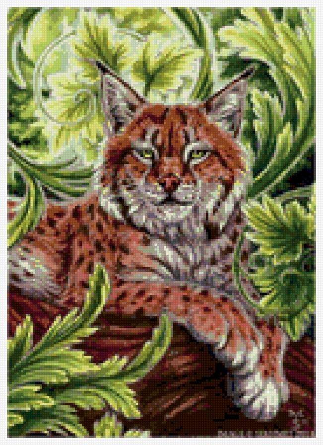 рысь - предпросмотр