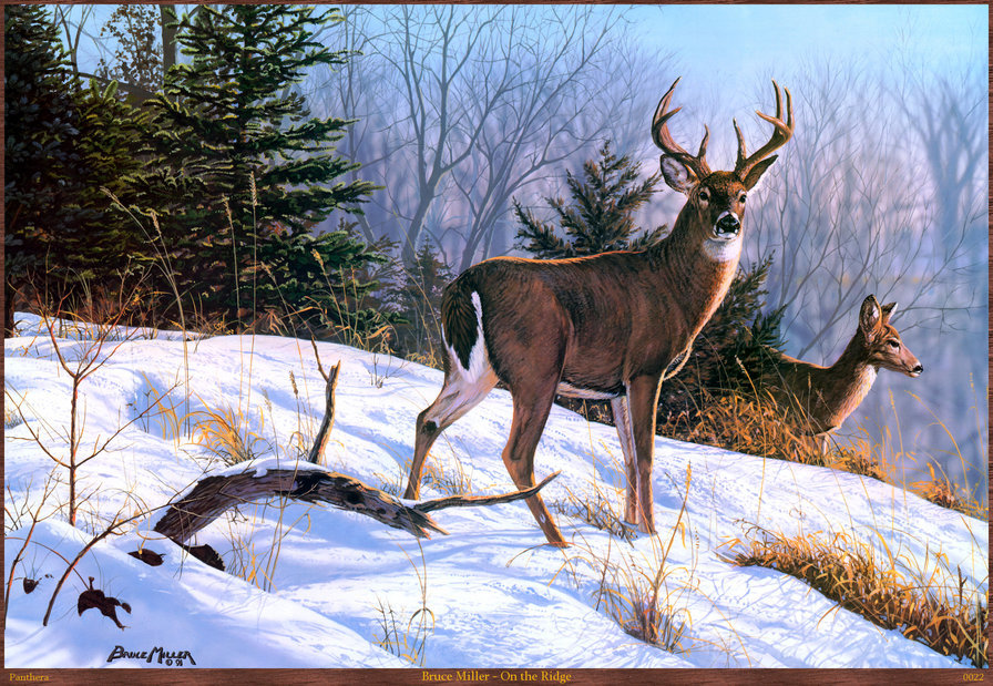 олени2 - оригинал