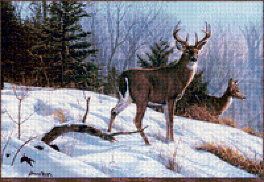 олени2 - предпросмотр