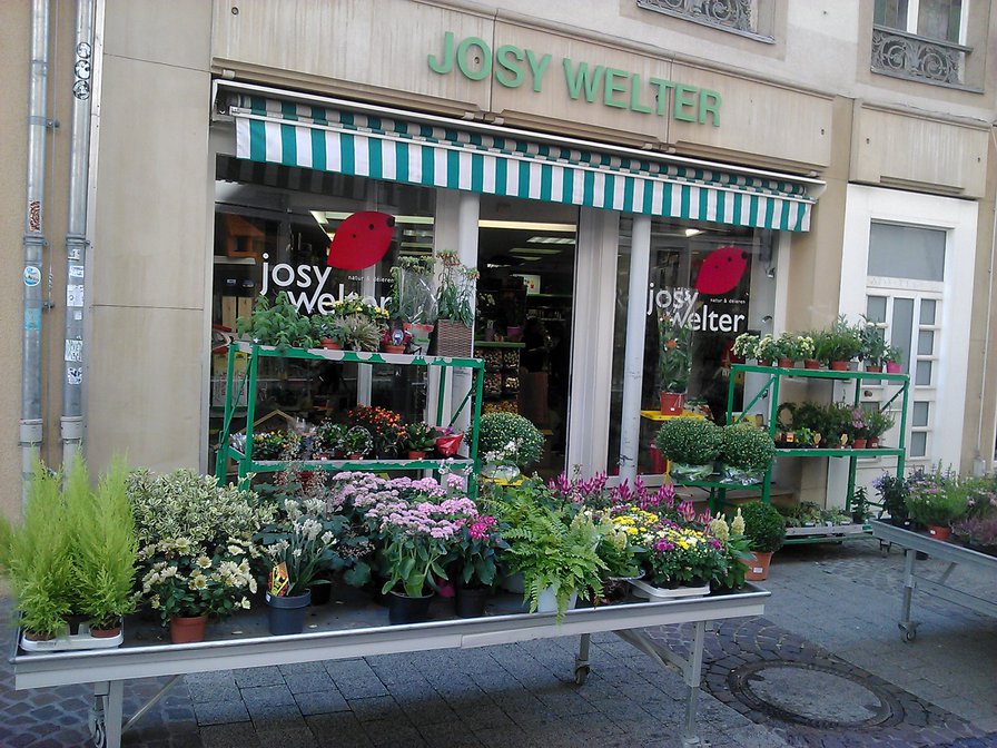 Цветочный магазин в Люксембурге - люксембург, цветы, магазин - оригинал