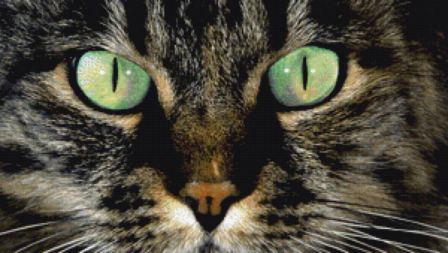 Глаза - предпросмотр