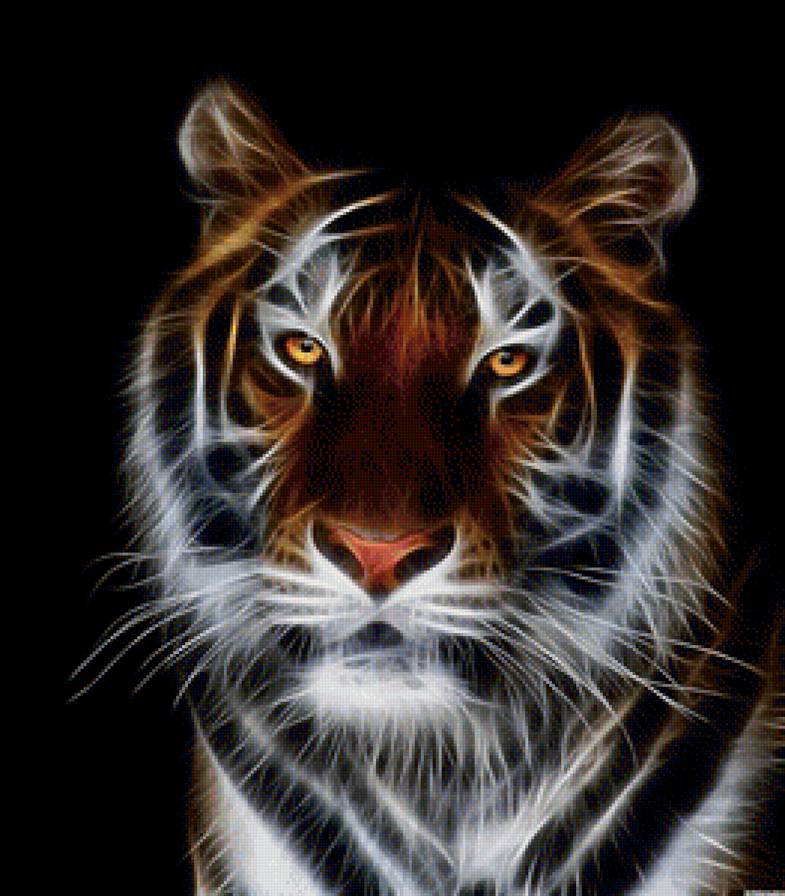 тигр - 77 цветов, тигр, черный фон - предпросмотр