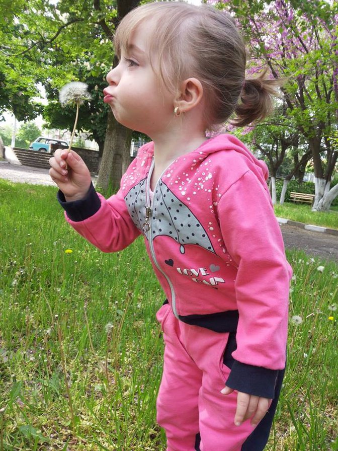 viki - оригинал