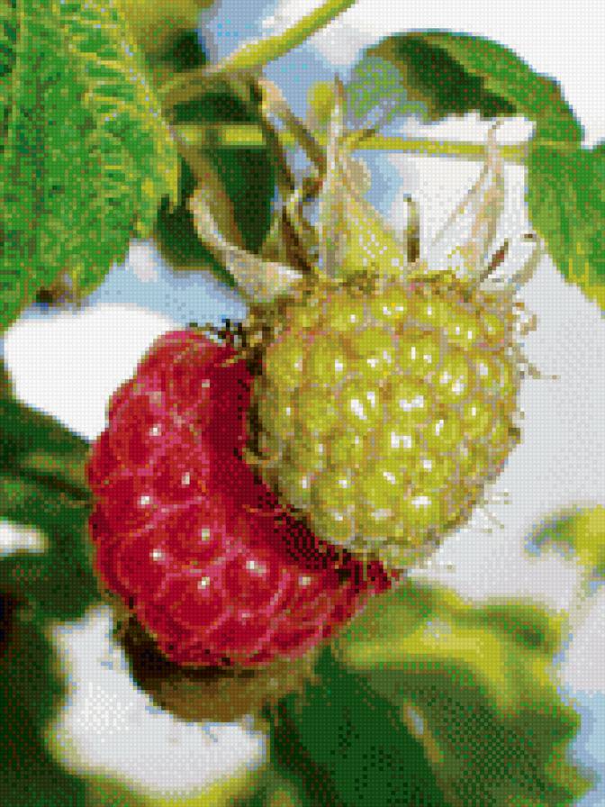 Малинка. - ягода, малина. - предпросмотр